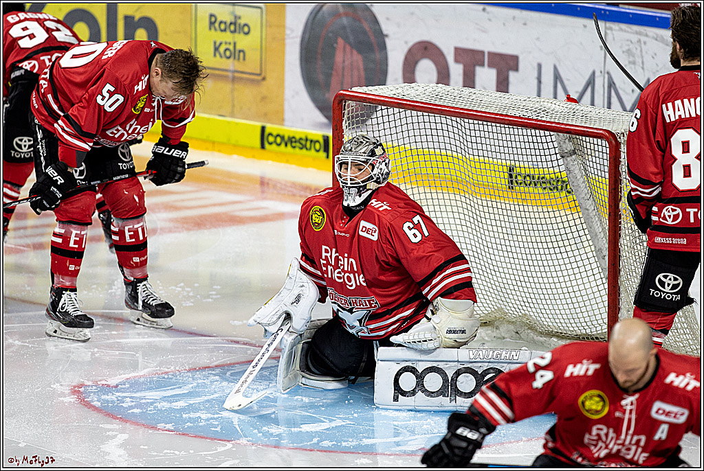 DEL;  Koelner Haie - Eisbaeren Berlin; Koeln, 06.03.2020